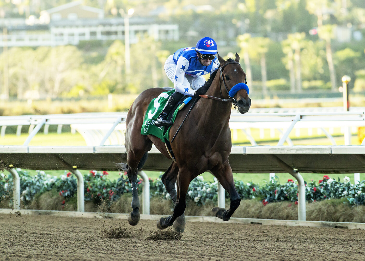 horse racing