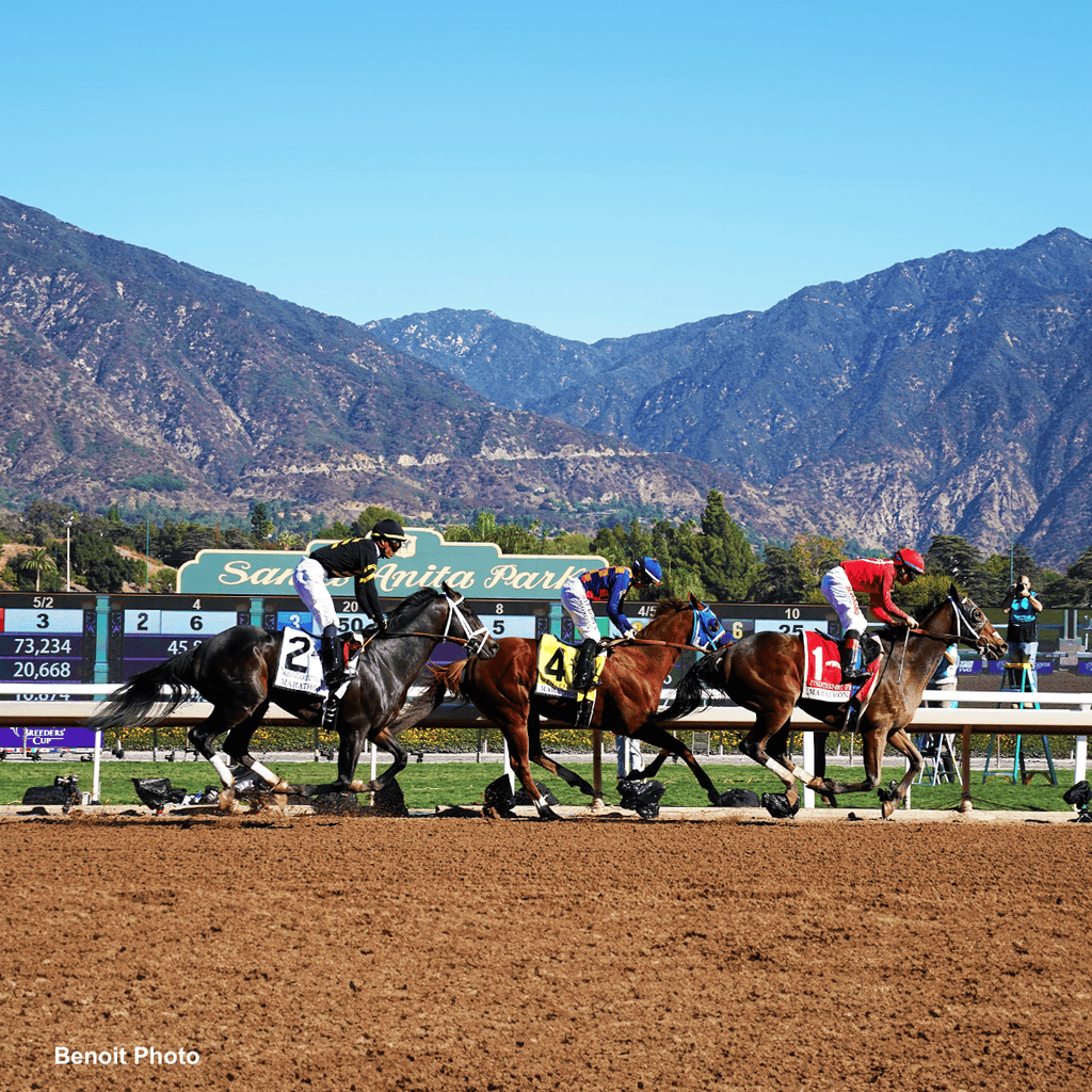 Santa Anita Park - home of the 40th Breeders' Cup horse racing championships