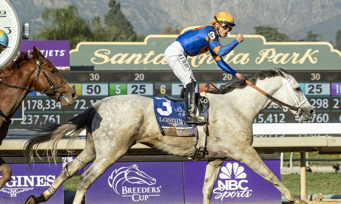 White Abarrio at the Breeders' Cup