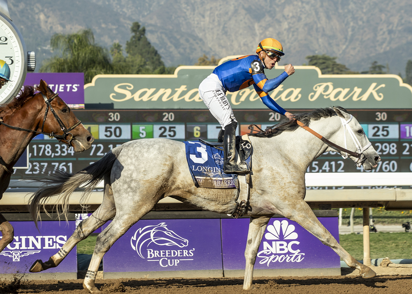 White Abarrio at the Breeders' Cup