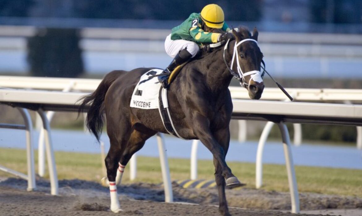 Fashionably Fab winnng the La Prevoyante Stakes at Woodbine