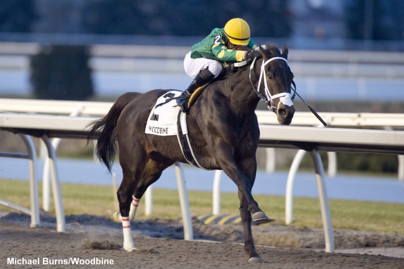 Fashionably Fab winnng the La Prevoyante Stakes at Woodbine