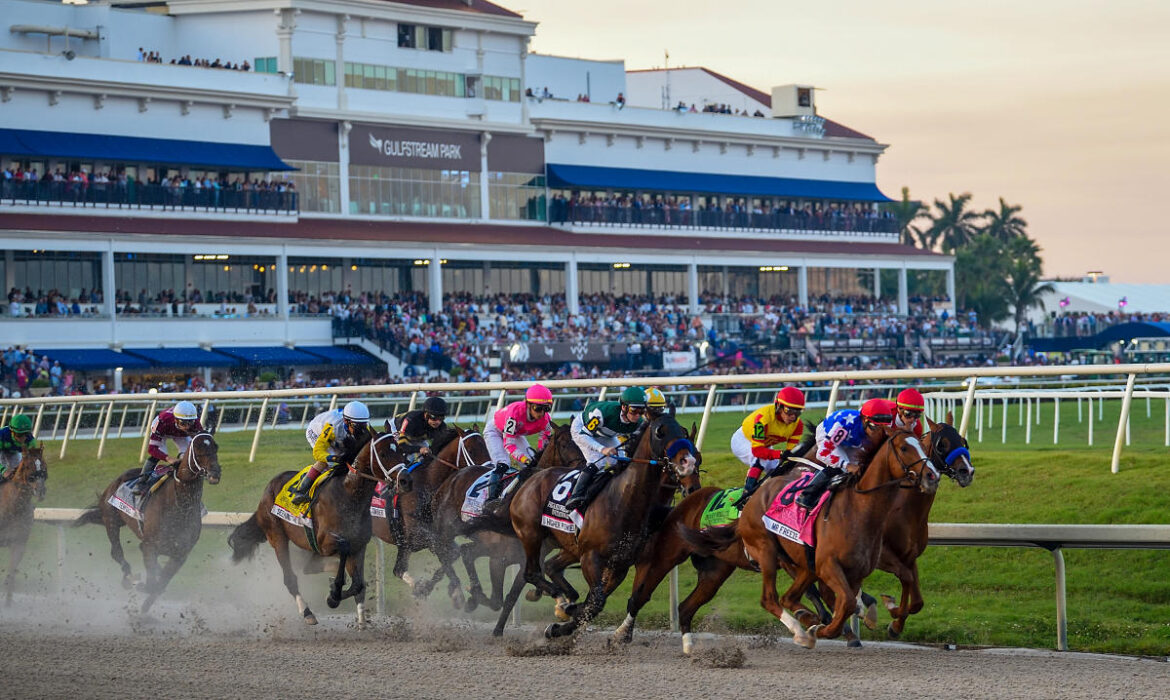 Gulfstream Park horse racing