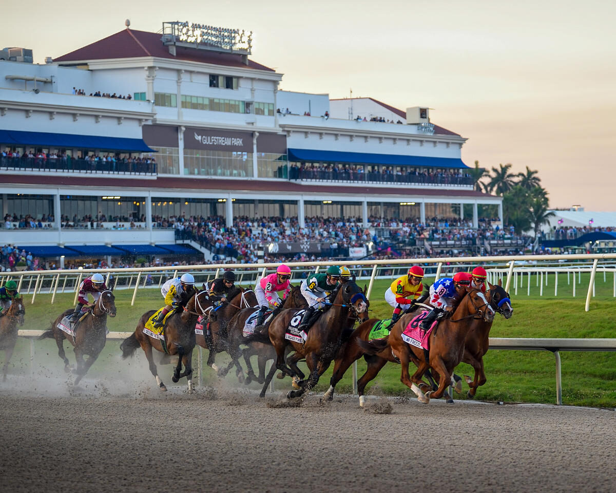 Gulfstream Park horse racing