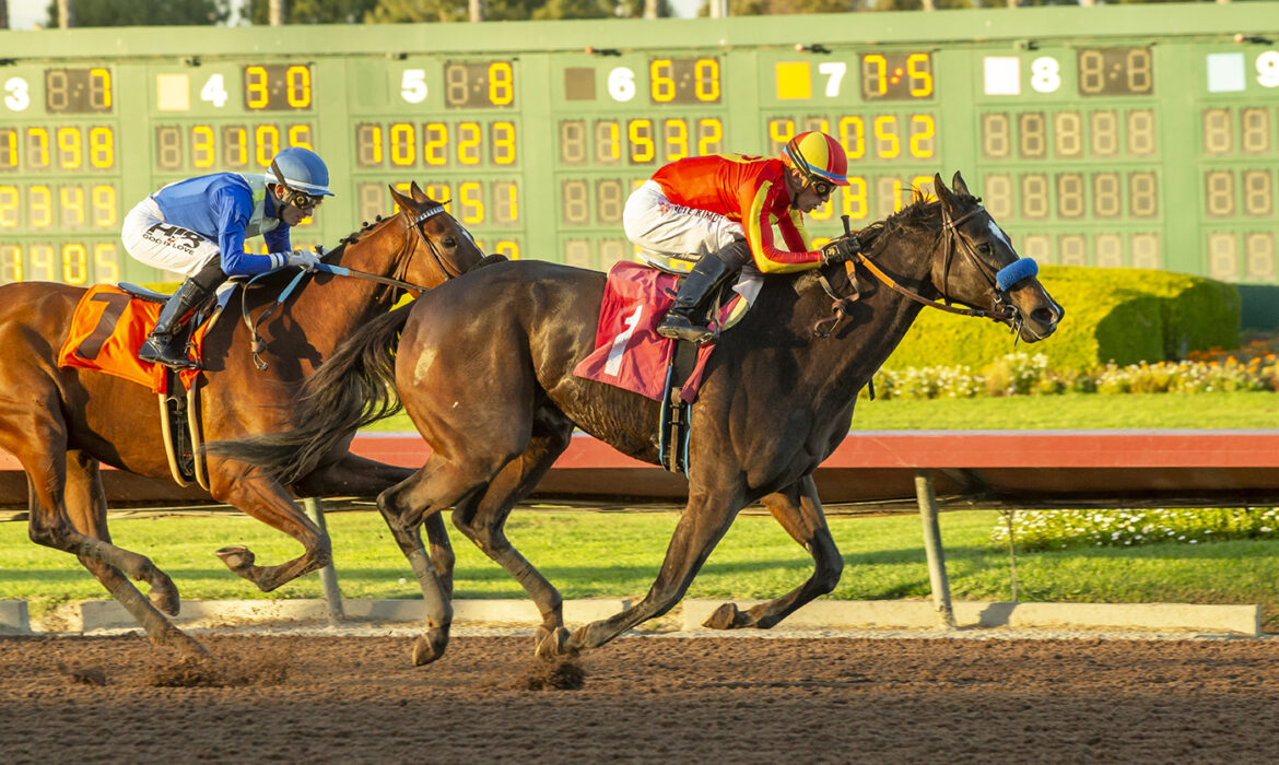 horse racing at Los Alamitos race track