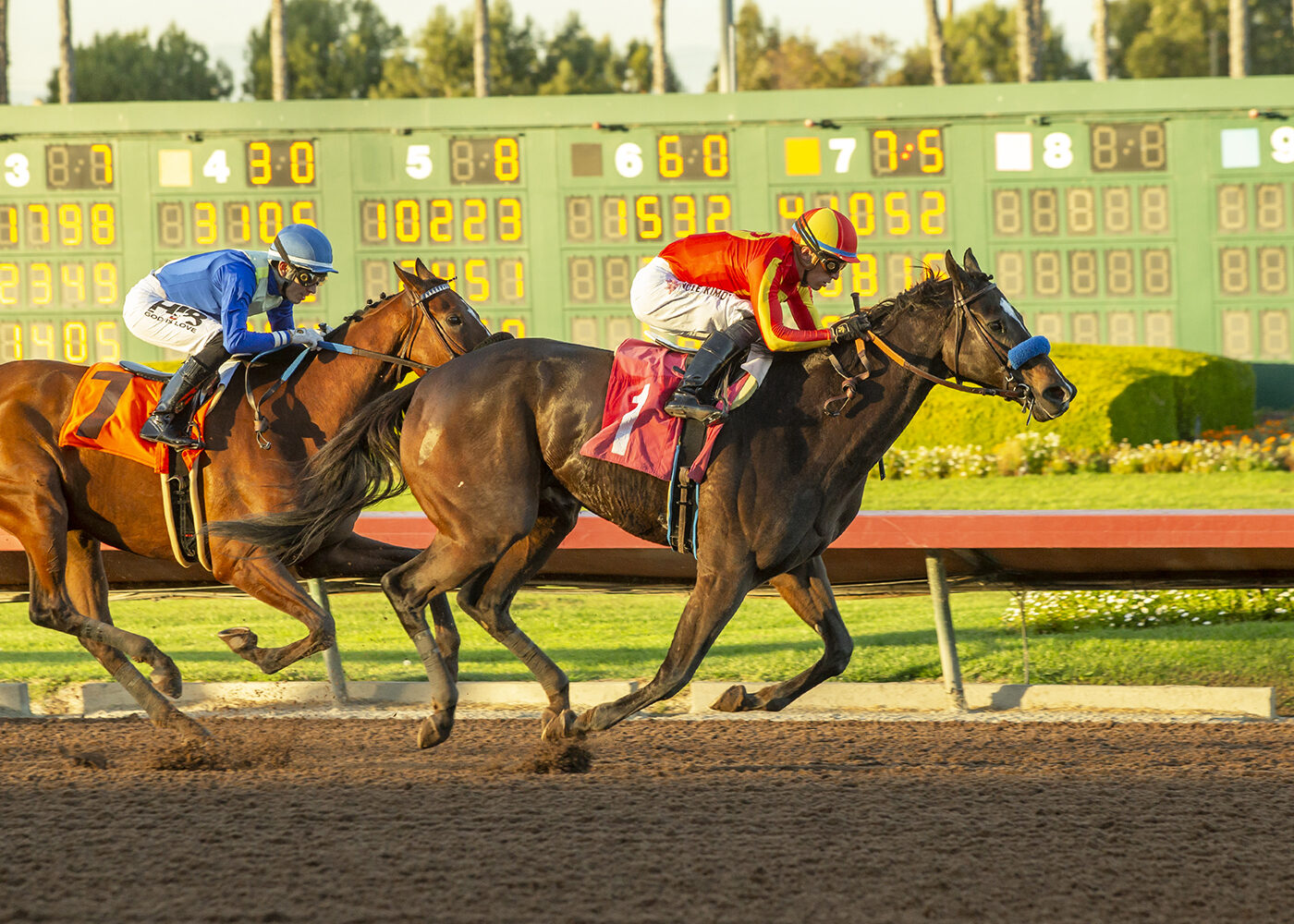 horse racing at Los Alamitos race track