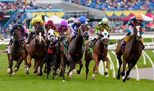 Stakes horse racing at Woodbine