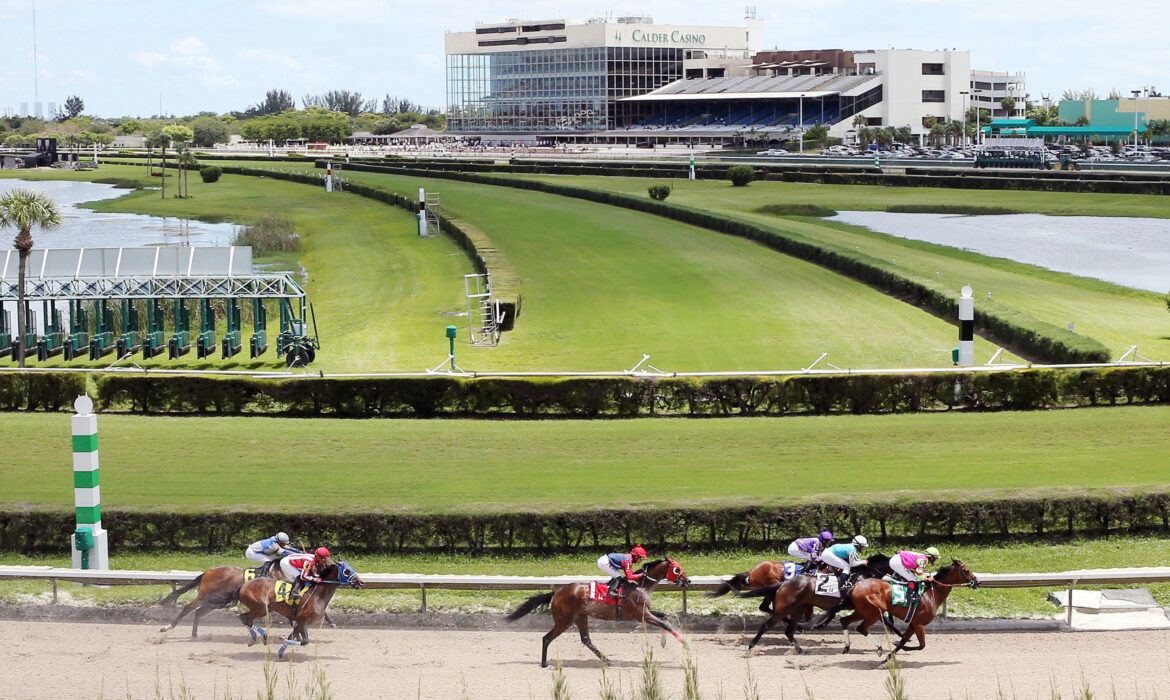 Gulfstream Park horse racing track in Florida