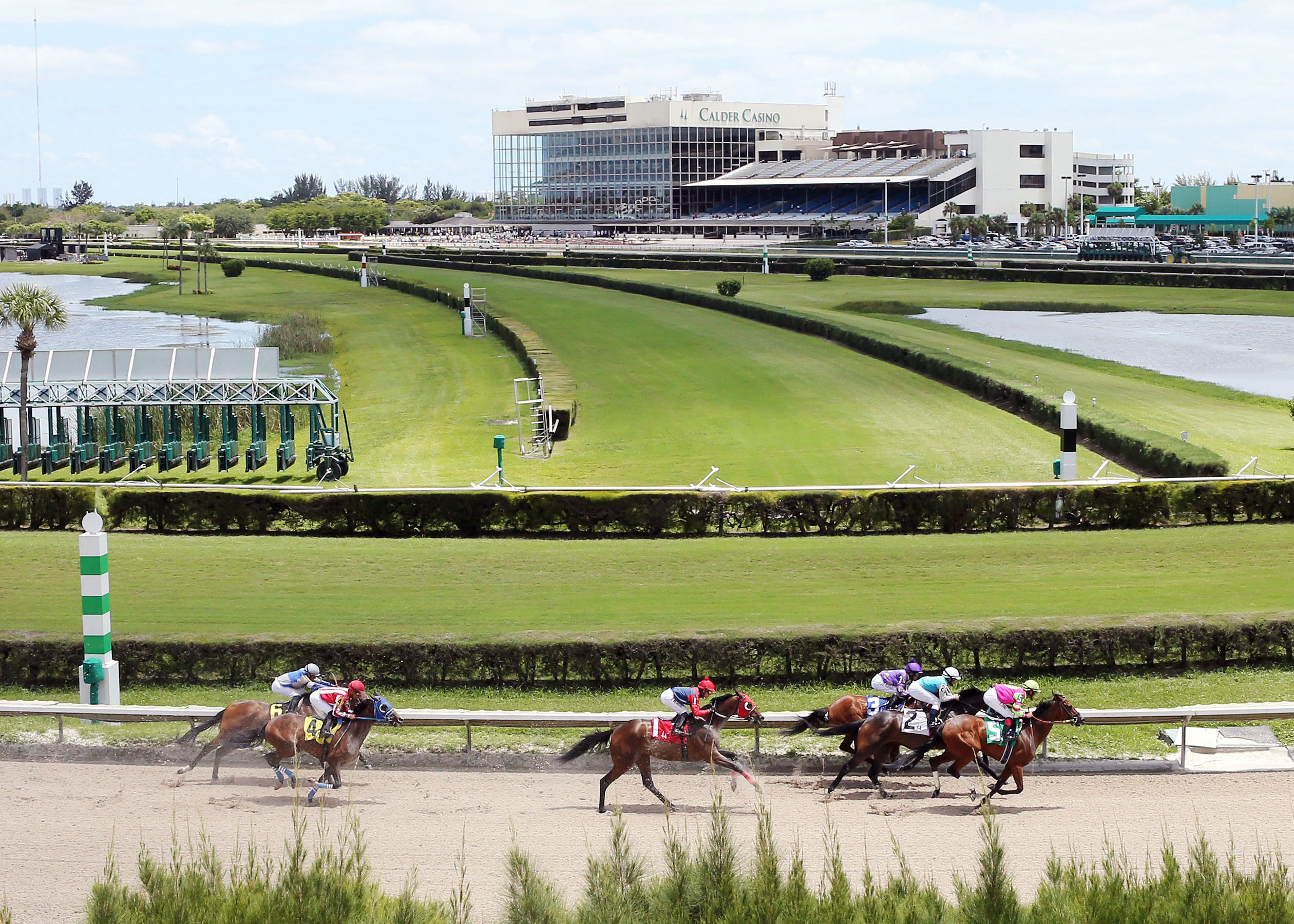 Gulfstream Park horse racing track in Florida
