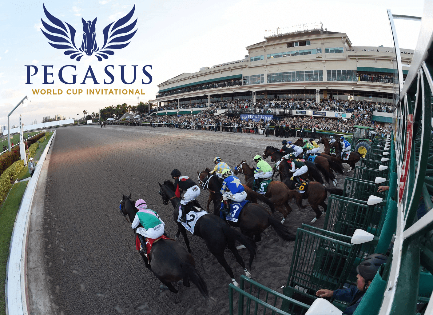 Pegasus World Cup Invitational horse racing event at Gulfstream Park
