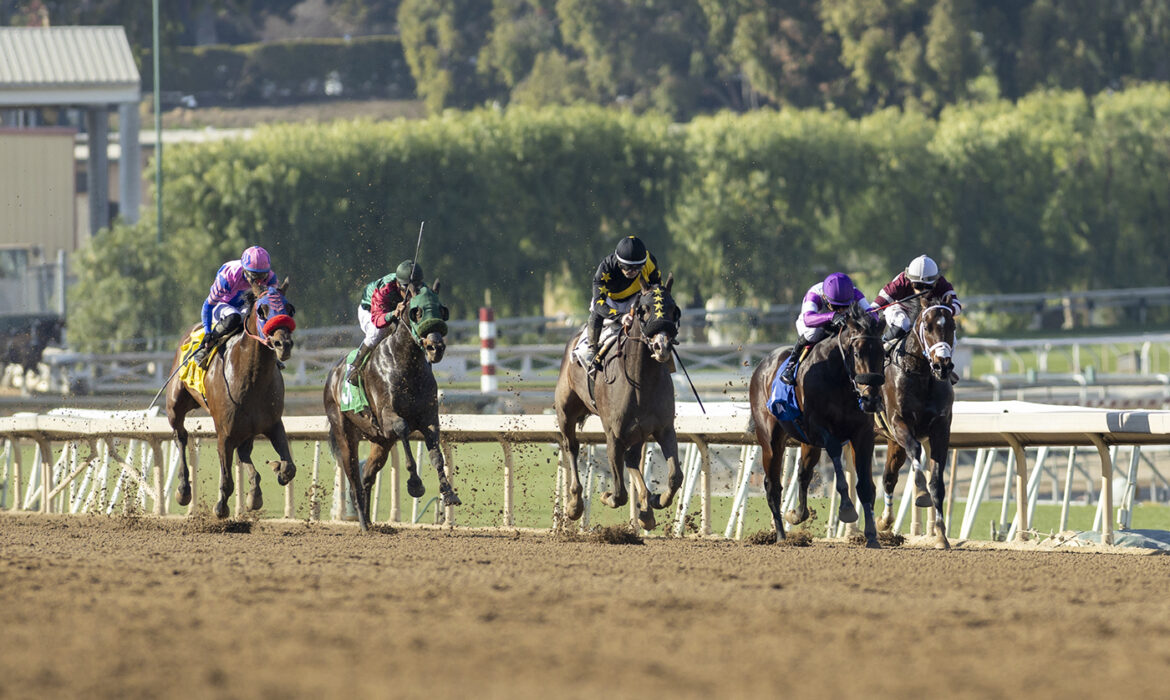 Mici's Express wins at Santa Anita in horse racing action