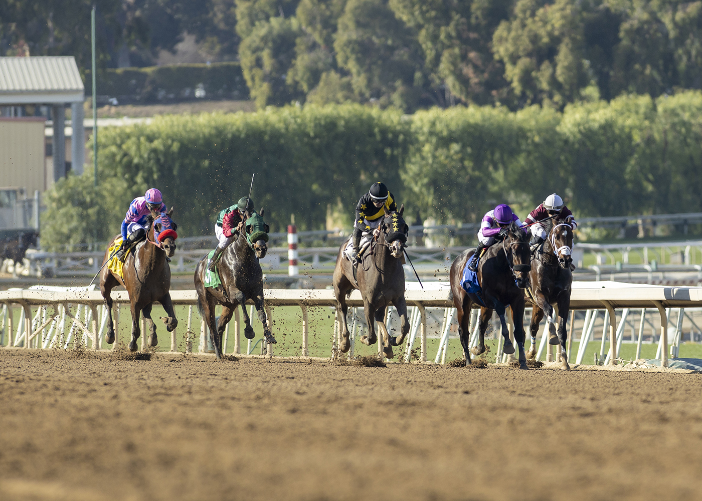 Mici's Express wins at Santa Anita in horse racing action