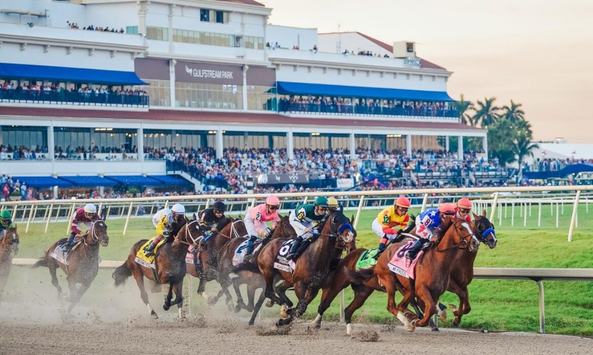 horse racing at Gulfstream Park for Pegasus Cup