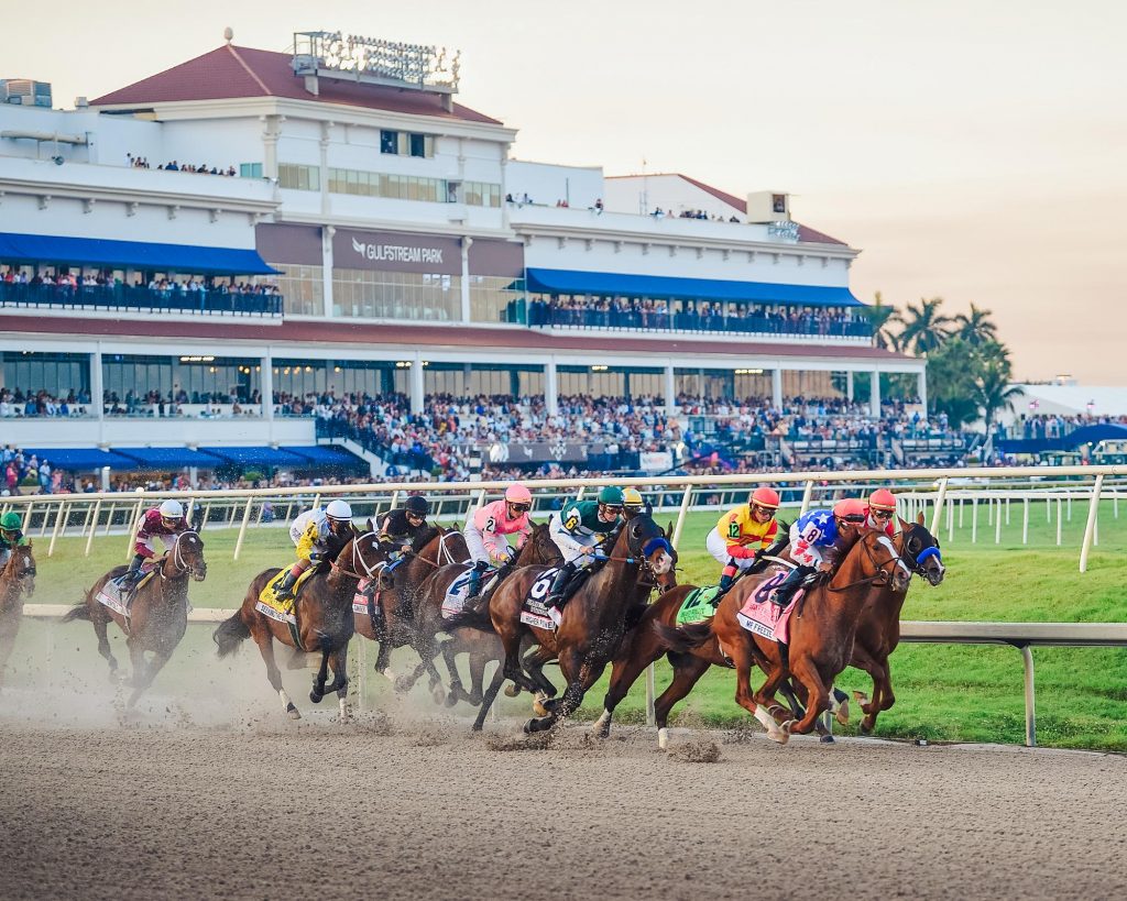 horse racing at Gulfstream Park for Pegasus Cup