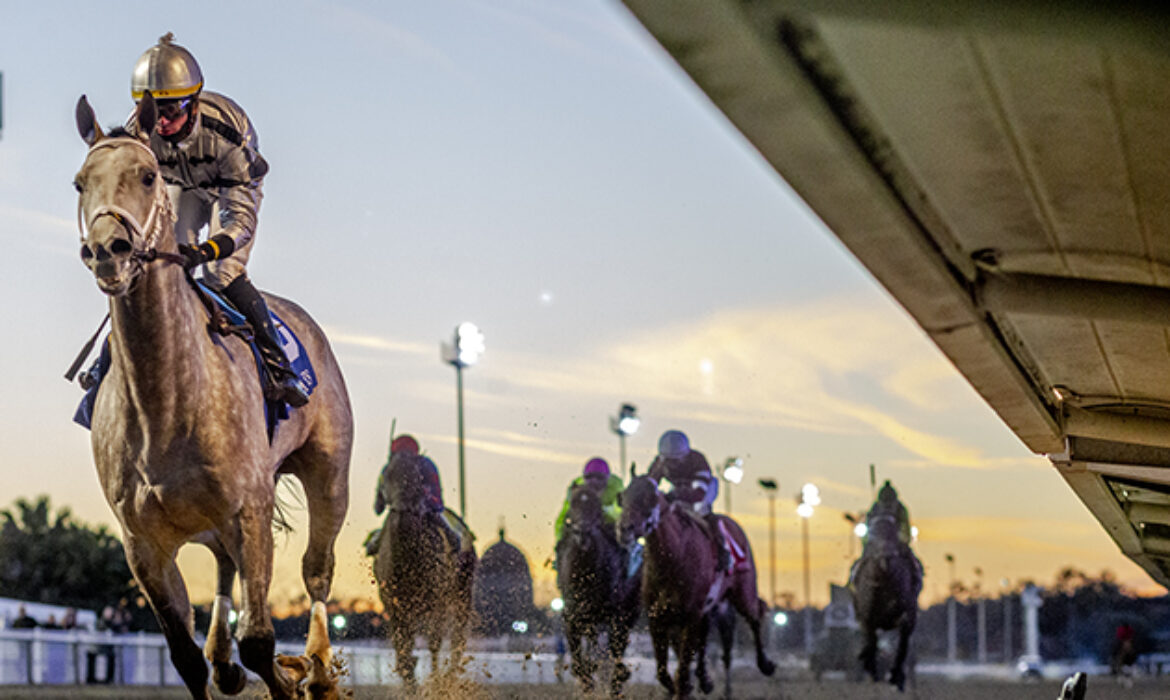 Saudi Crown winning in horse racing action at Gulfstream