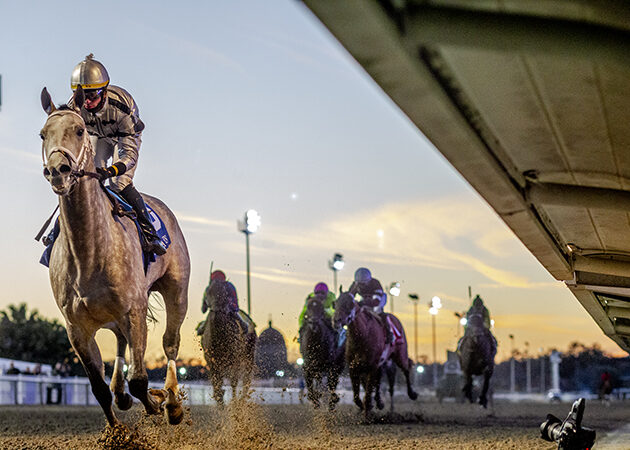 Saudi Crown winning in horse racing action at Gulfstream