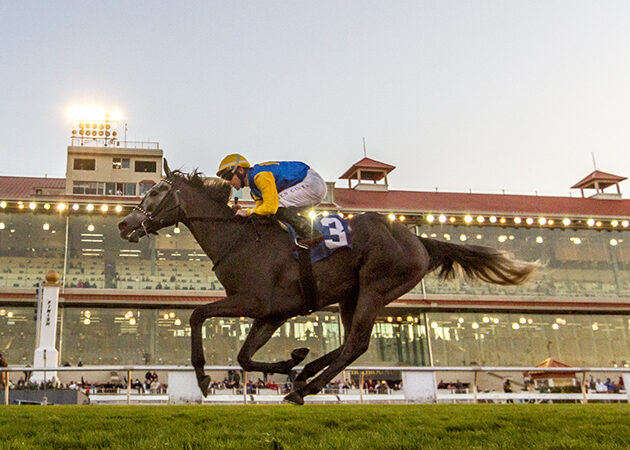 horse racing at the Fair Grounds