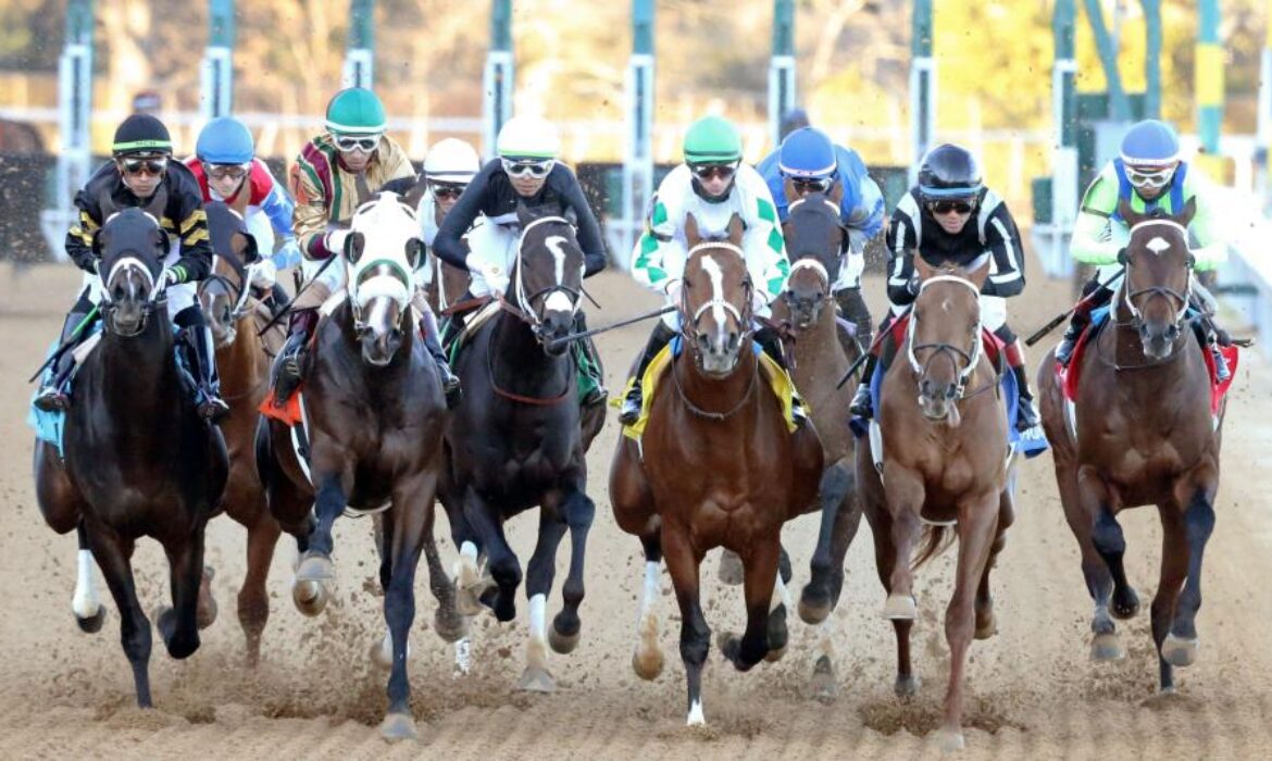 Horse racing including star Track Phantom