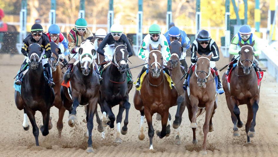 Horse racing including star Track Phantom