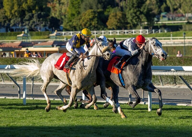 Las Ciegas Stakes race at Santa Anita Park.