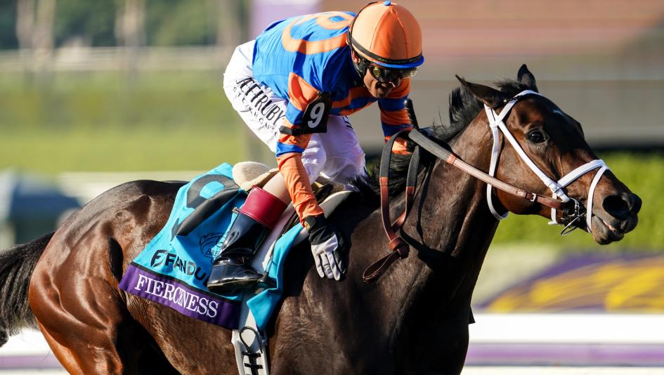 News image for What’s On Track: A Glut of Graded Stakes Action