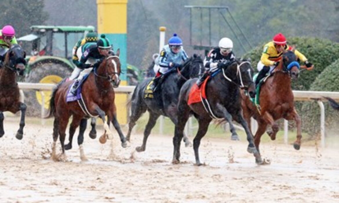 Mystik Dan winning the Southwest Stakes at Oaklawn