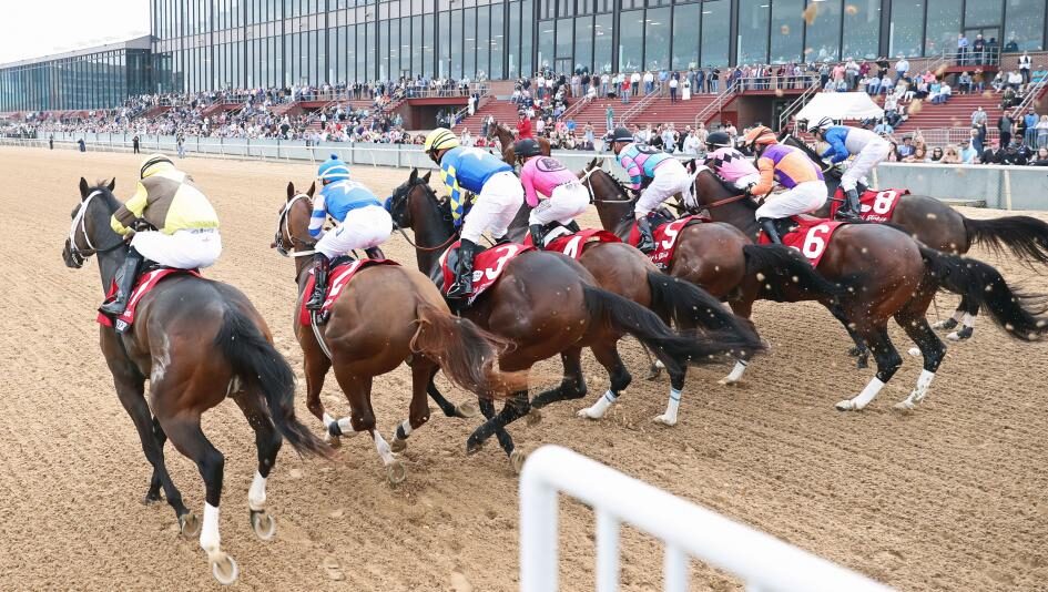 Start gate at Oaklawn Park at the Rebel Stakes