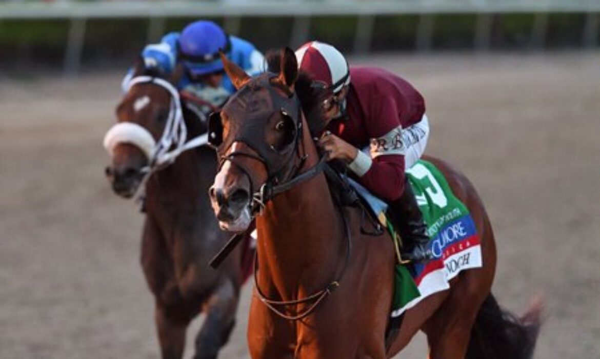 Dornoch winning the Fountain of Youth Stakes at Santa Anita