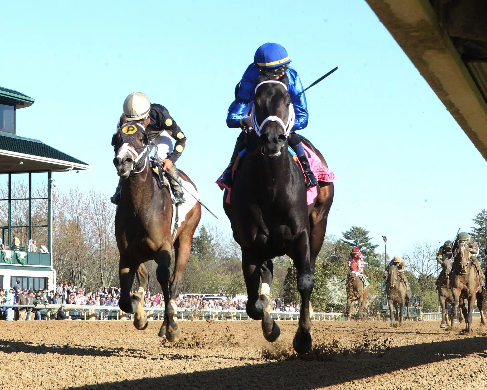 News image for ICYMI: Favorites Deliver at Oaklawn, but a Surprise Winner Steals the Show at Keeneland