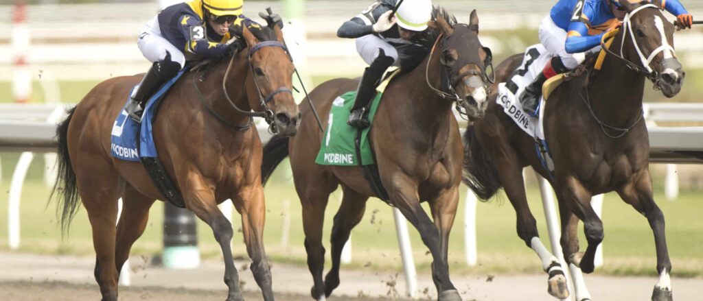 Sabatini winning the Star Shoot Stakes at Woodbine