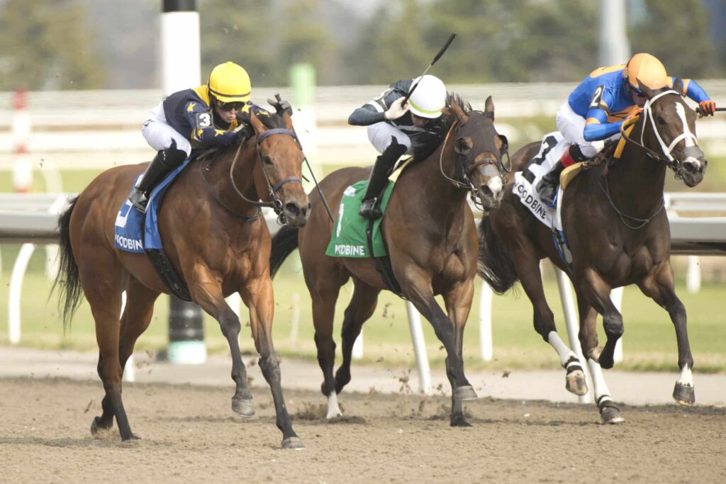 Sabatini winning the Star Shoot Stakes at Woodbine