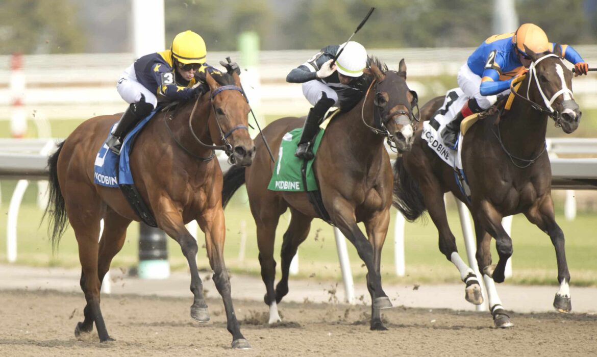 Sabatini winning the Star Shoot Stakes at Woodbine