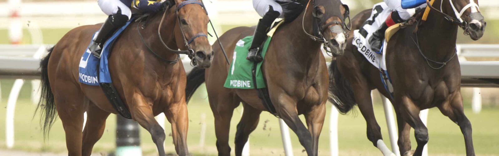 Sabatini winning the Star Shoot Stakes at Woodbine