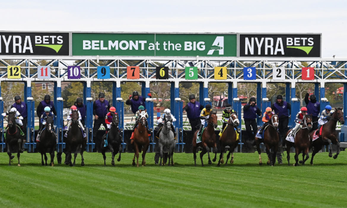 Horse racing at Belmont at Aqueduct