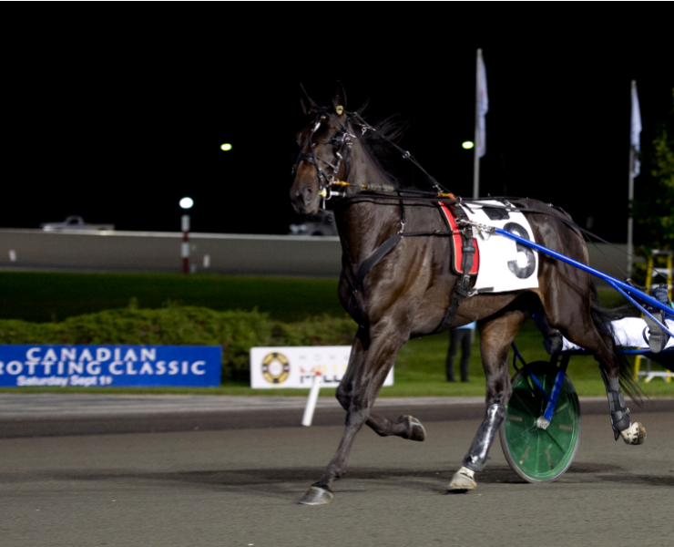 Turf Champions Day Featuring Woodbine Mile