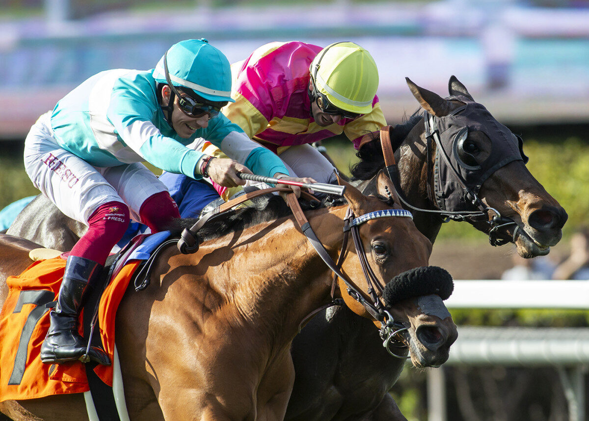 Laulne winning the angels flight stakes