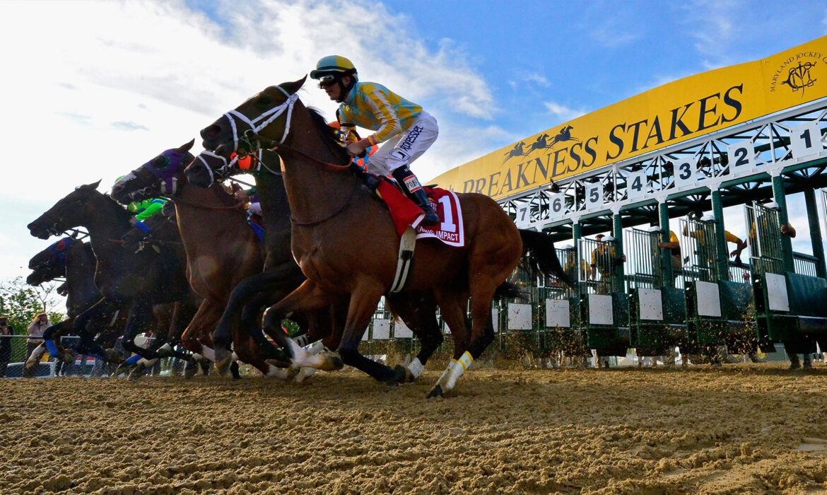 Preakness at Pimlico