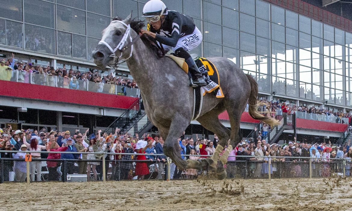 Seize The Grey winning the Preakness