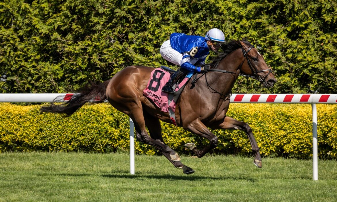 Silver Knott winning the Man O' War Stakes at Belmont