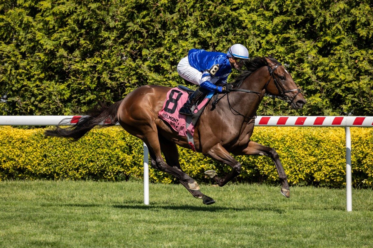 Silver Knott winning the Man O' War Stakes at Belmont