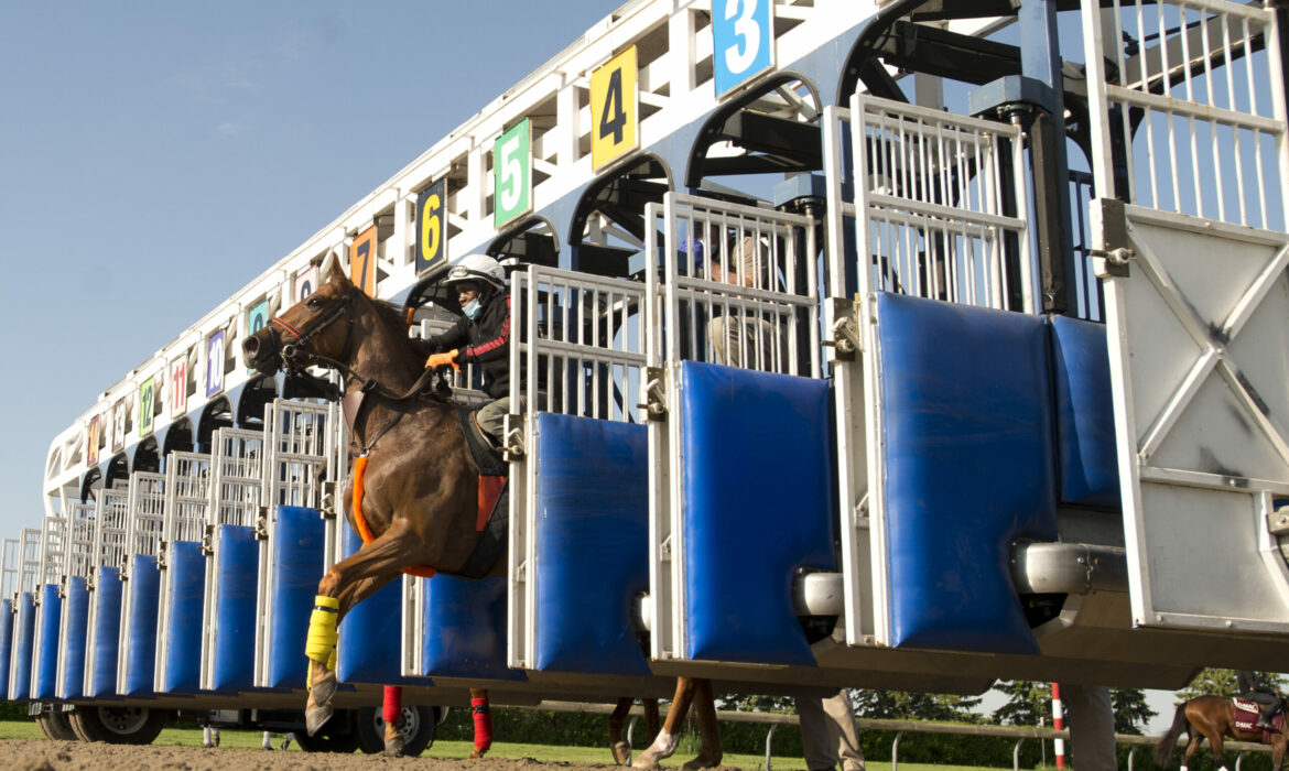 Woodbine horse racing