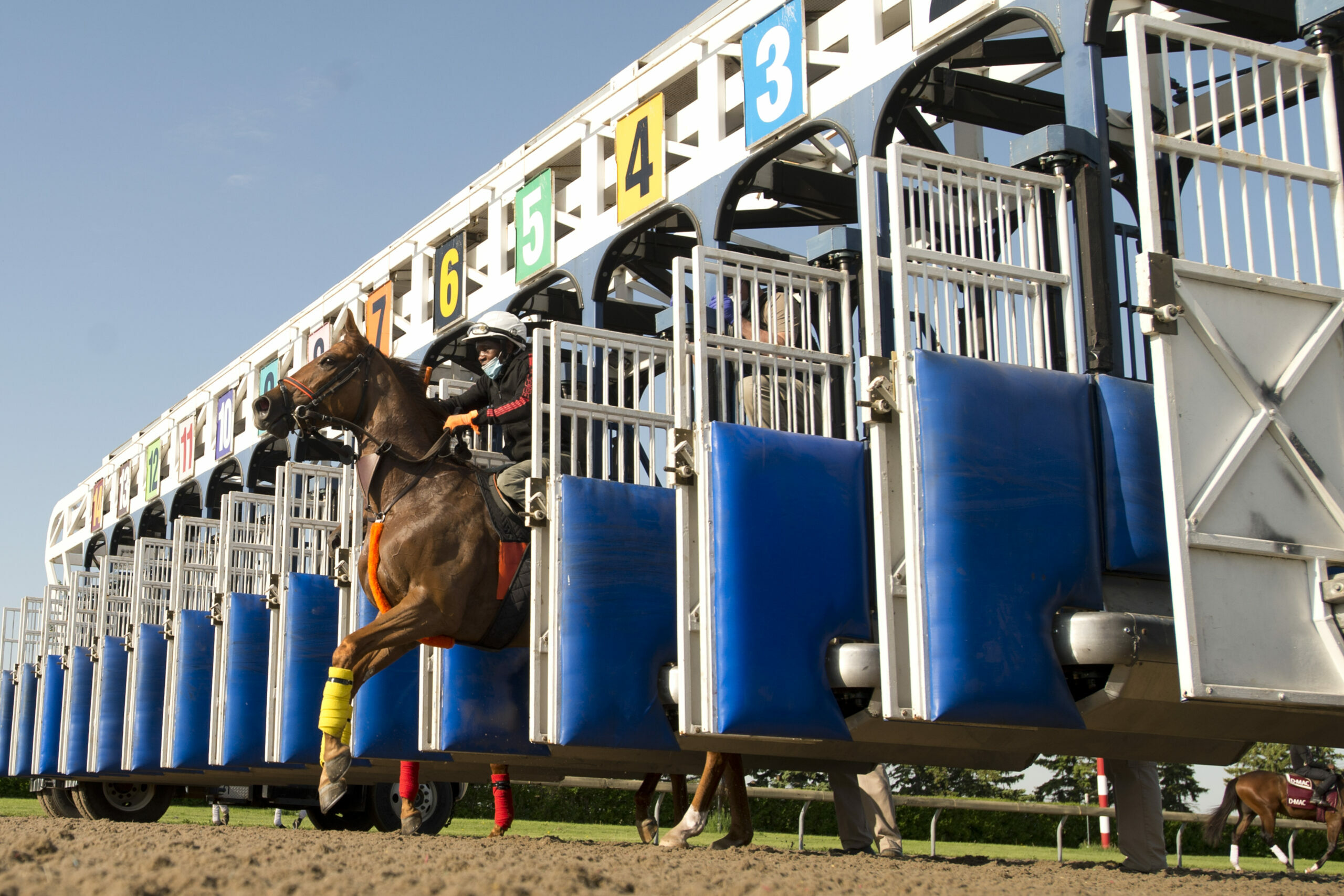 Woodbine horse racing