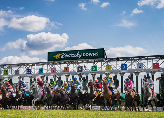 Kentucky Downs starting gate horse racing