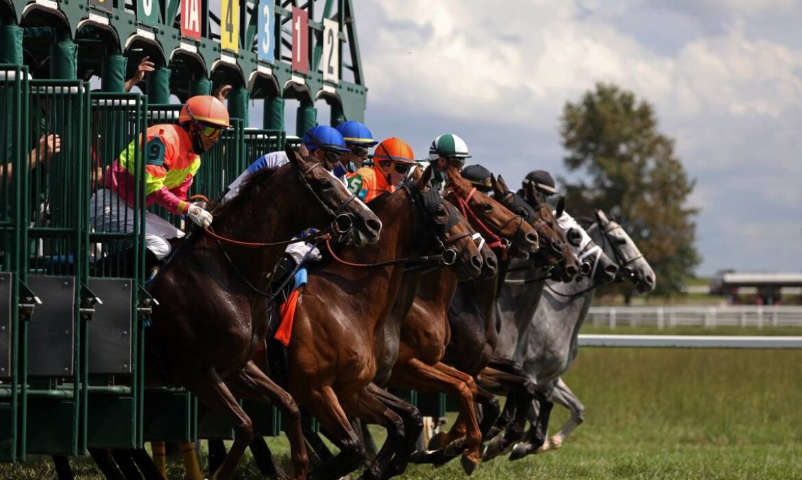 Starting gate at Kentucky Downs