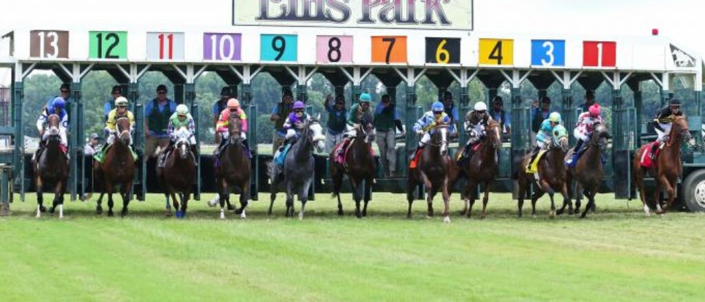 Ellis Park horse racing in Kentucky