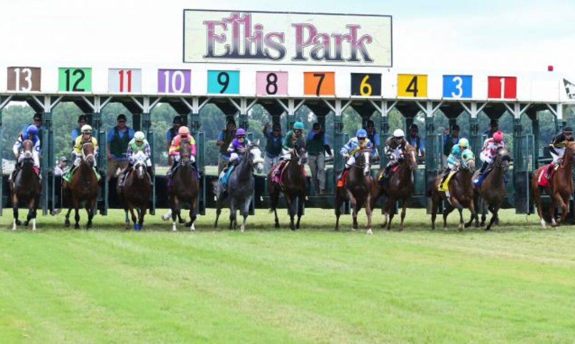 Ellis Park horse racing in Kentucky