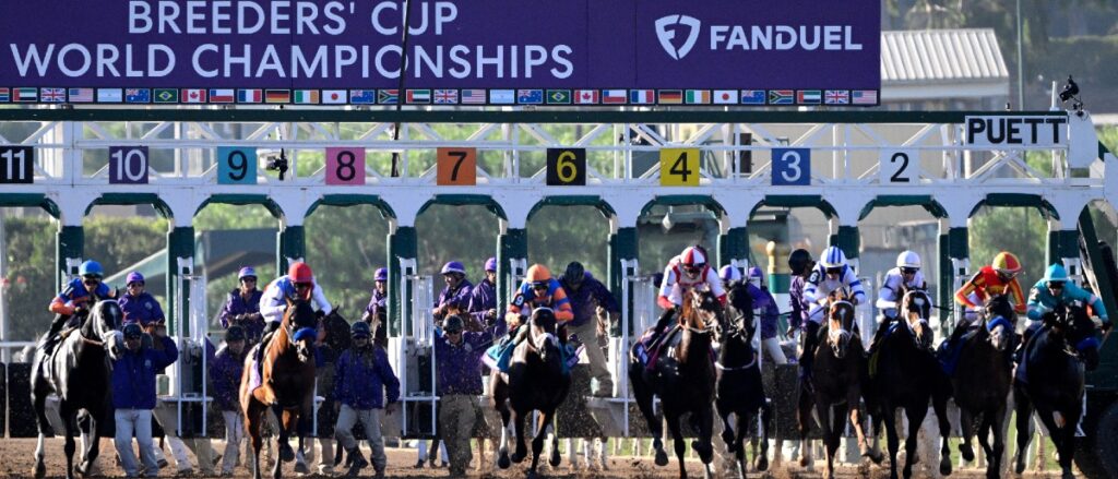 Starting gate at the 2024 Breeders' Cup