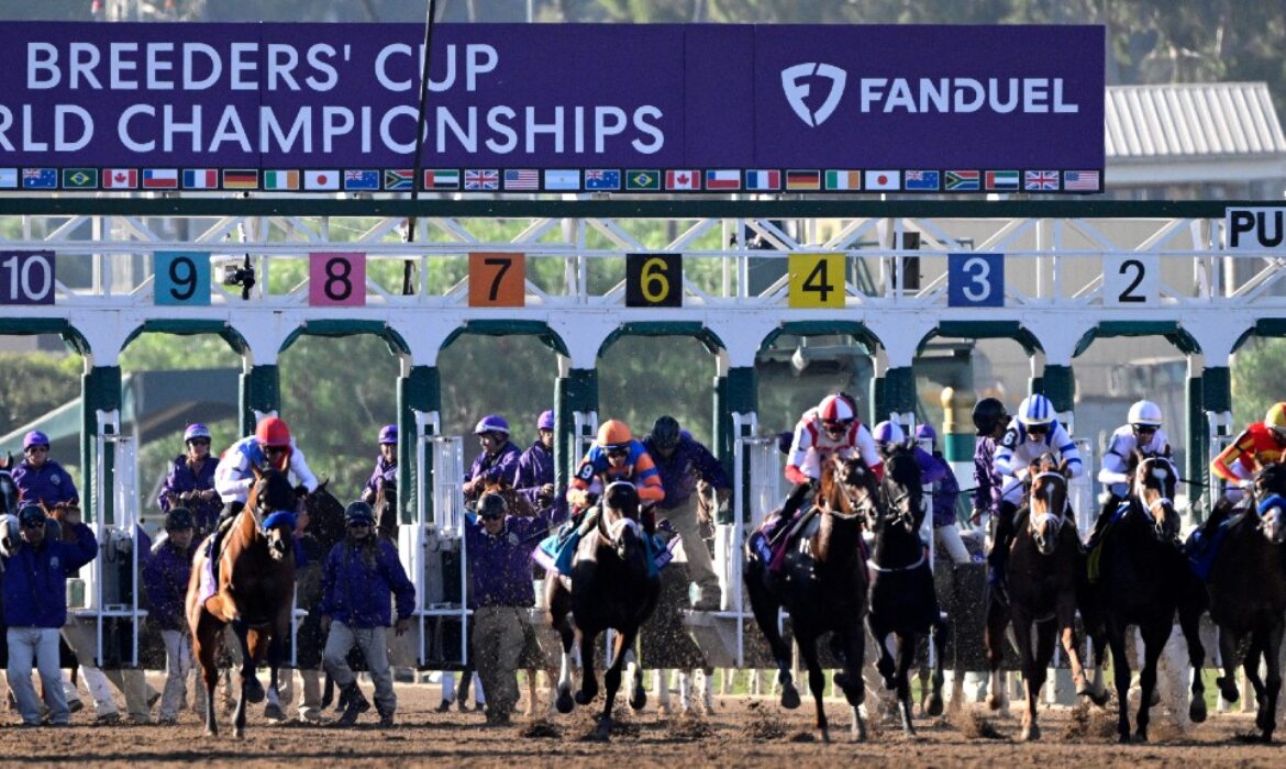 Starting gate at the 2024 Breeders' Cup