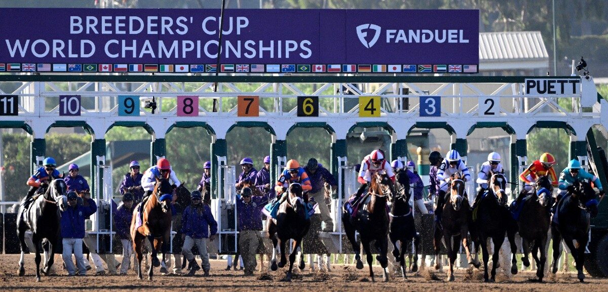 Starting gate at the 2024 Breeders' Cup