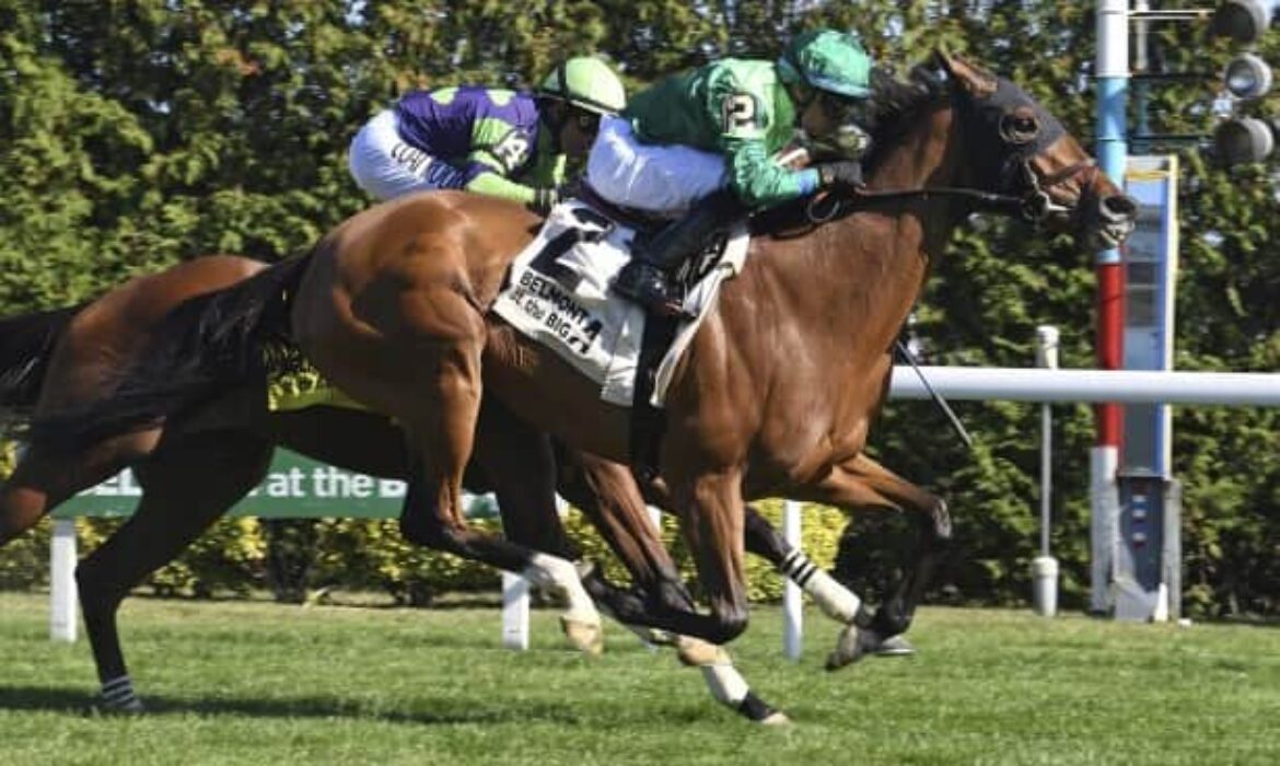 Spaliday wins Sands Point Stakes at Belmont at The Big A